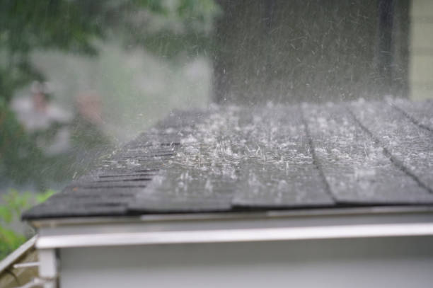 Trusted Sebastian, FL Roofing Service Experts